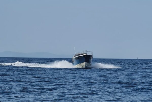 Vista frontale dell'imbarcazione Tuccoli T440 Elba in mare aperto